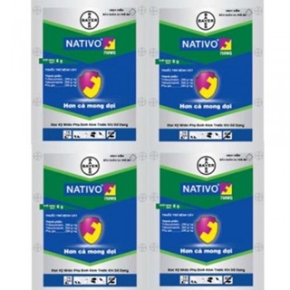 Thuốc trừ bệnh cây trồng NATIVO 750WG ( ĐẶC TRỊ BỆNH PHẤN TRẮNG TRÊN HOA HỒNG)
