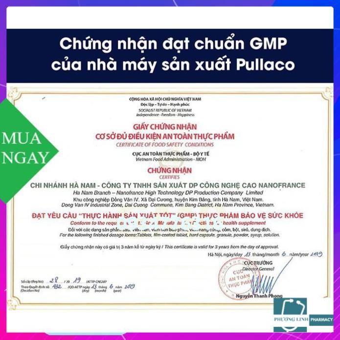 (Chính hãng ) Pullaco bổ phế giảm ho long đờm hộp 12 vỉ tặng ngay hộp sâm việt