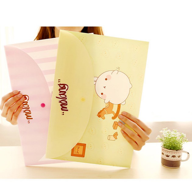 [BÁN BUÔN SỈ] Túi lưu bài Clearbag A4 Molang