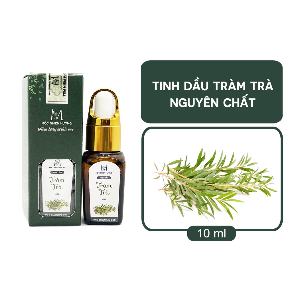 Tinh dầu tràm trà nguyên chất Mộc Nhiên Hương (10ml/50ml) đuổi muỗi, khử mùi, xông phòng, hỗ trợ giảm mụn, mờ vết thâm