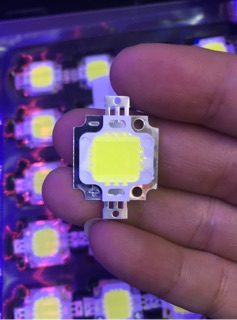 Đèn nhân LED 10W-12V