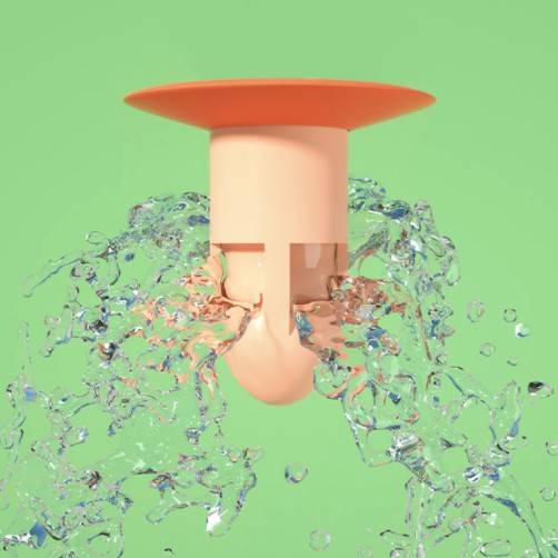 Nắp Cống Nhà Vệ Sinh Chống Mùi Hôi Côn Trùng H191