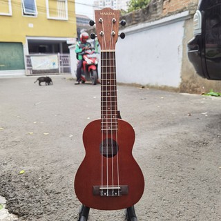 Đàn Ukulele Màu Nâu Thiết Kế Xinh Xắn Chất Lượng Cao