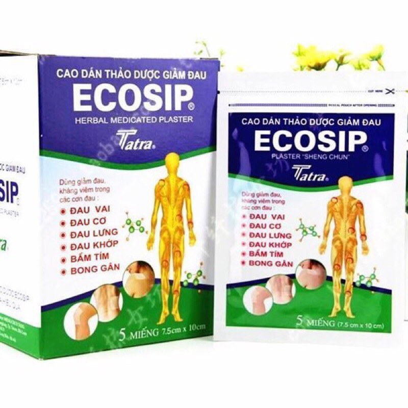 Cao dán thảo dược giảm đau Ecosip (1 túi 5 miếng)
