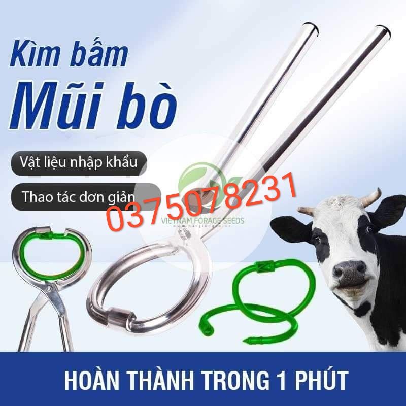 Kìm bấm vòng mũi trâu bò Inox siêu bền