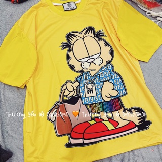 Áo Thun mèo vàng Freesize Qc