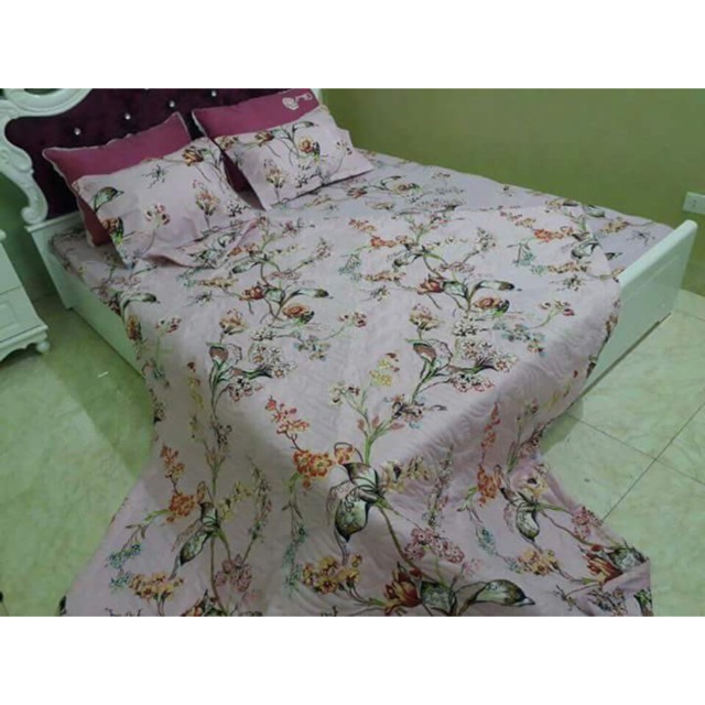 Bộ chăn ra 5 món 