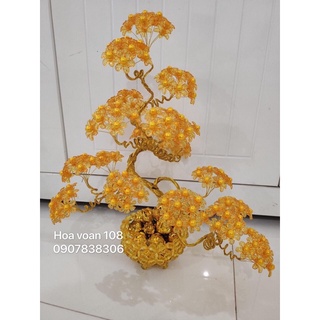 Đế hoa 6 cánh (1 bịch 100g)