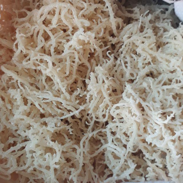 COMBO 2kg RONG SỤN TƯƠI/ RONG SỤN GAI MUỐI - dùng làm gỏi, nấu chè