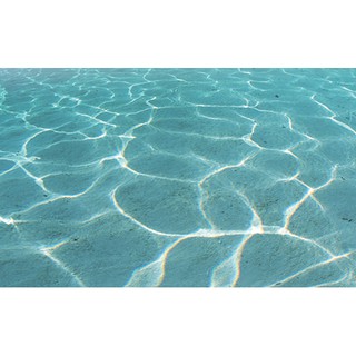 Tranh nền dán đáy hồ Aqua 32 kích thước yêu cầu 60 x 37 cm