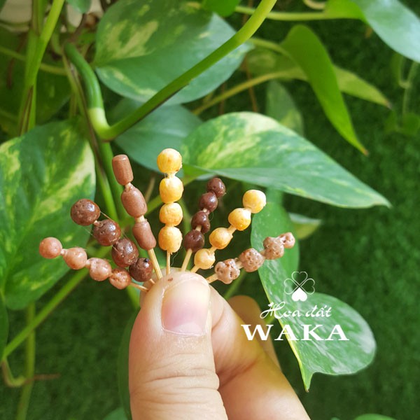 Mô Hình Xiên Que Mini 02- Mô hình 1/12