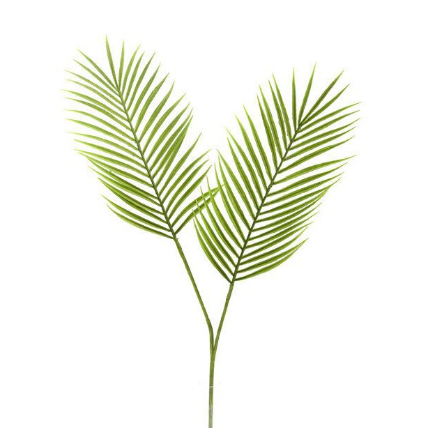 Lá cây monstera, lá dừa, bạch đàn giả trang trí chụp ảnh sống động