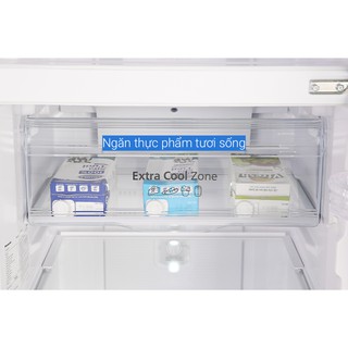 Tủ lạnh Panasonic Inverter NR-BL263PKVN 234 lít