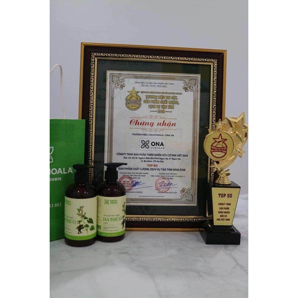 Dầu Gội Cà Phê - Dầu Gội Thảo Dược Cà Phê Trị Liệu Tóc Cocayhoala Chiết Xuất Hạt Cà Phê Arabica 300g | BigBuy360 - bigbuy360.vn