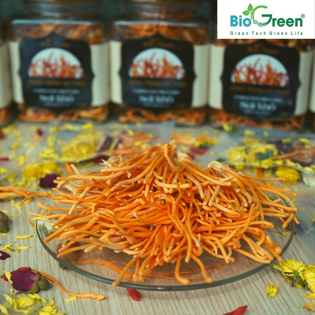 Đông Trùng Hạ Thảo Khô Biogreen Sấy Thăng Hoa Nguyên Con Chính Hãng loại 10g và 20g | BigBuy360 - bigbuy360.vn