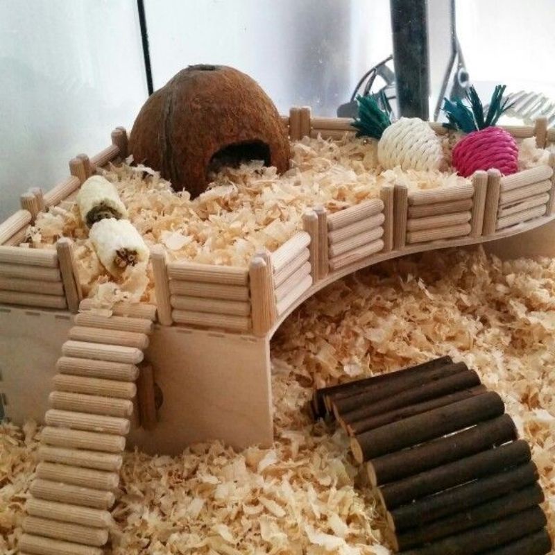 Chốt gỗ decor chuồng hamster, lồng hamster kích thước 8*40mm