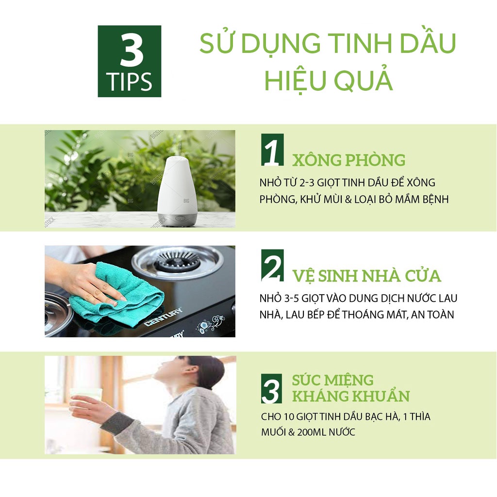 Tinh Dầu Thiên Nhiên Trà Xanh 10ml - Nhập Khẩu - Thái Lan - Dùng đèn nến - máy xông - khuếch tán - thơm phòng - treo xe