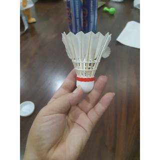 1 ỐNG CẦU LÔNG 88 (10 QUẢ)