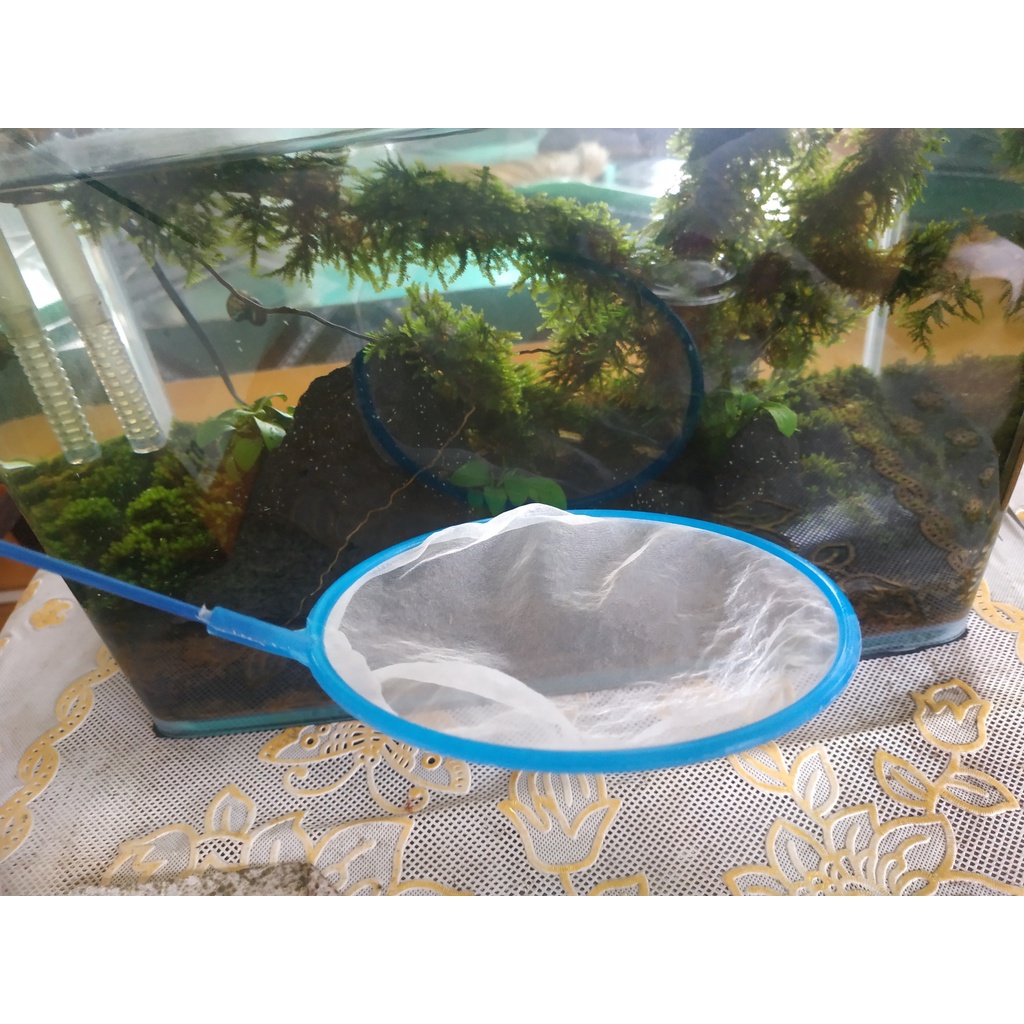 Vợt vớt artemia bobo cá con chất liệu nano mịn mỏng nhẹ phù hợp với nhiều kích thước bể giao màu ngẫu nhiên - MHL