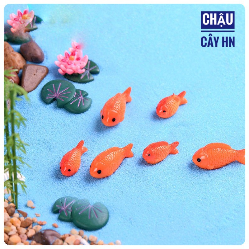 Tiểu cảnh mini - Đàn cá Koy làm phụ kiện trang trí terrarium, sen đá, xương rồng, nhà mô hình, charm slime