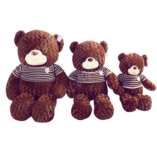 ❤️ Hot❤GẤU BÔNG TEDDY 60cm,1m,1m4 và 1m6.