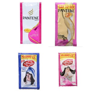 Dây Dầu gội, dầu xã