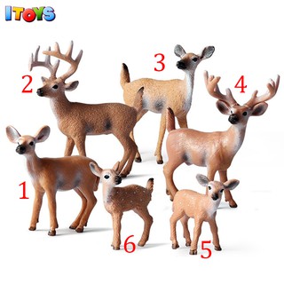 Mô hình các loại hươu siêu đẹp nhiều kích thước ITOYS