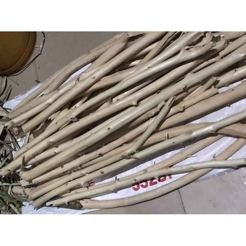 Bộ củi làm cây thông Handmde
