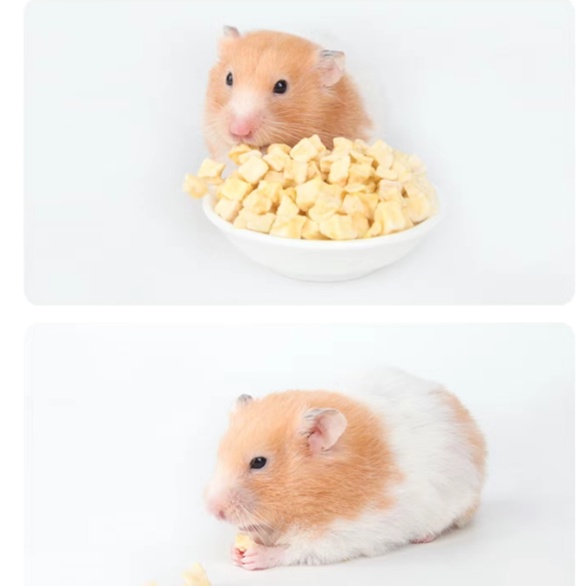 Jonsanty Táo sấy bổ sung vitamin cho Thỏ, hamster, bọ ú,nhím, chinchilla, sóc, sóc bay 50g, 150g