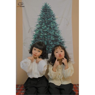 Tranh vải cây thông Noel tặng kèm đèn dây fairy