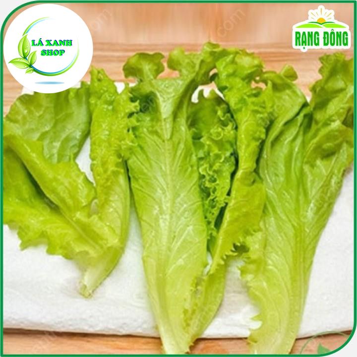 Hạt giống Xà Lách Vàng Cao Sản (Xà Lách Dún) Trồng Quang Năm, Kháng Bệnh Tốt (gói 10 gram) - Hạt giống Rạng Đông
