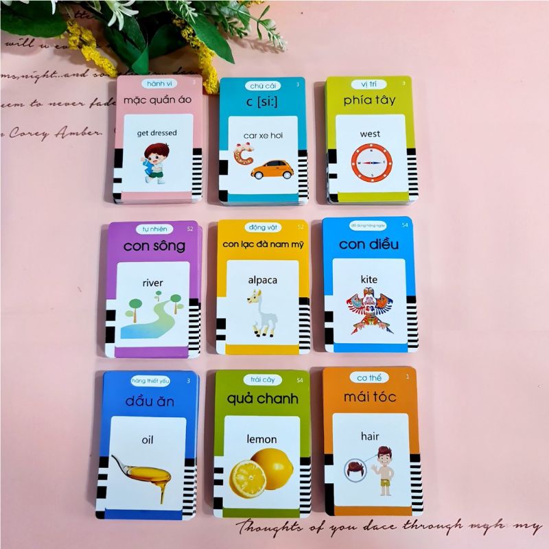 Máy đọc thẻ song ngữ Anh-Việt flashcard 255 thẻ 510 từ vựng bản mới nhất