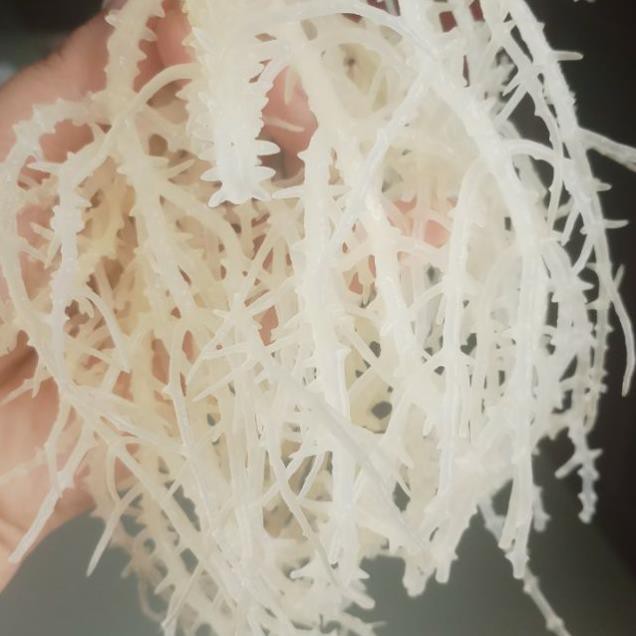 Rong Sụn Gai Muối Nấu Chè Làm Gỏi [0,5kg /1kg]