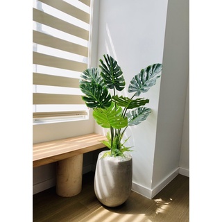 💥 Cây giả - Cây lá xẻ trang trí nhà, ban công, tiểu cảnh đẹp cao 90cm - LC3023