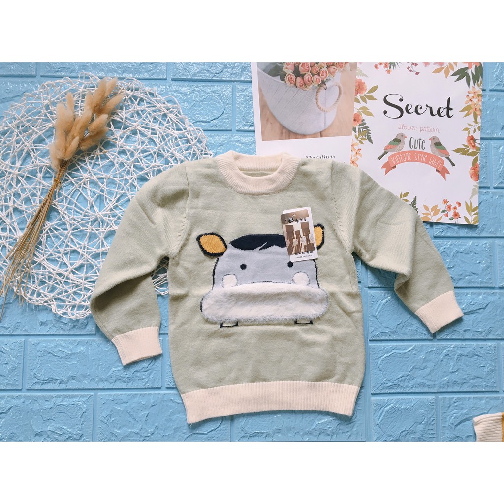 Áo Len Dài Tay Hàng Quảng Châu Nhiều Mẫu Cho Bé Trai 1-5 tuổi (10-20kg)