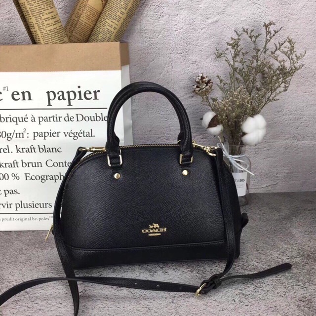 🆘RẺ VÔ ĐỊCH🆘Túi Coach hến