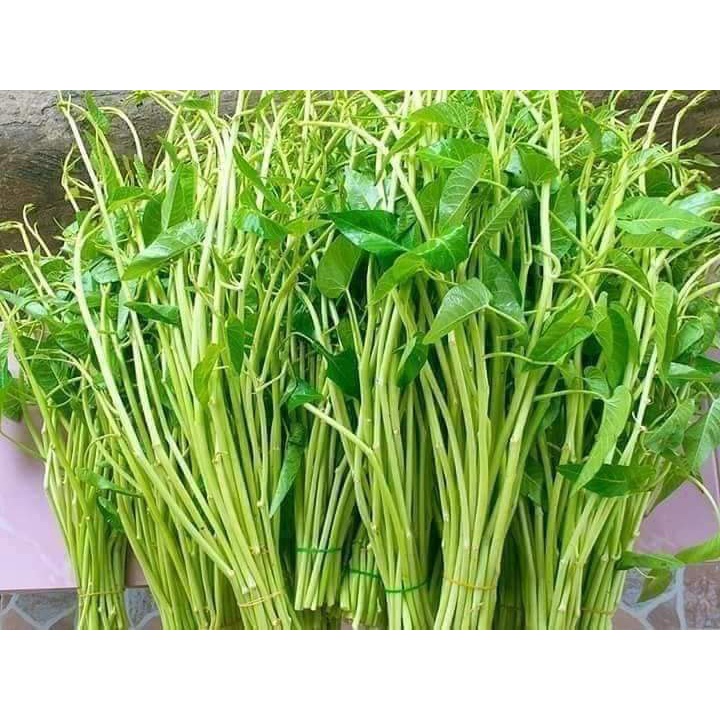 1 LẠNG HẠT GIỐNG RAU MUỐNG CHÙM