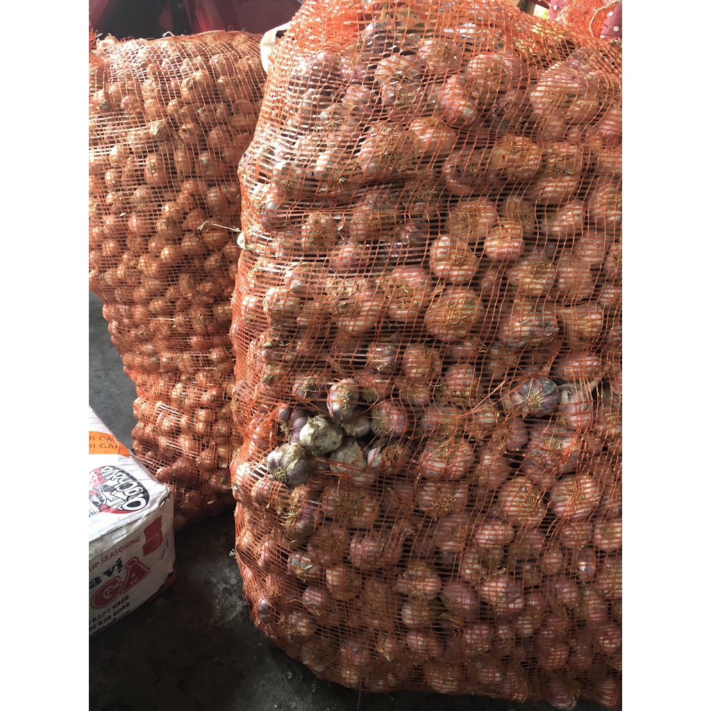 1kg tỏi tía - tỏi Bắc Hải Dương thơm, ngon, cay.