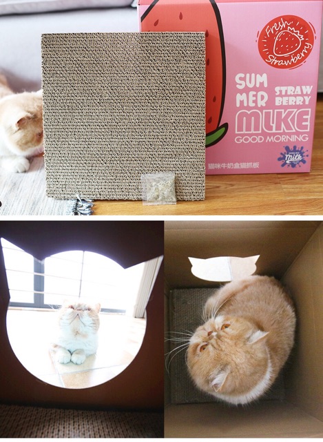 Nhà Cào Móng + Catnip dành cho  63x33x33 cao - ngang - rộng