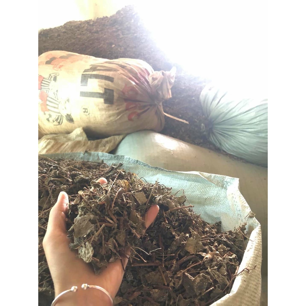 Chè Dây Cao Bằng hỗ trợ viêm loét dạ dày