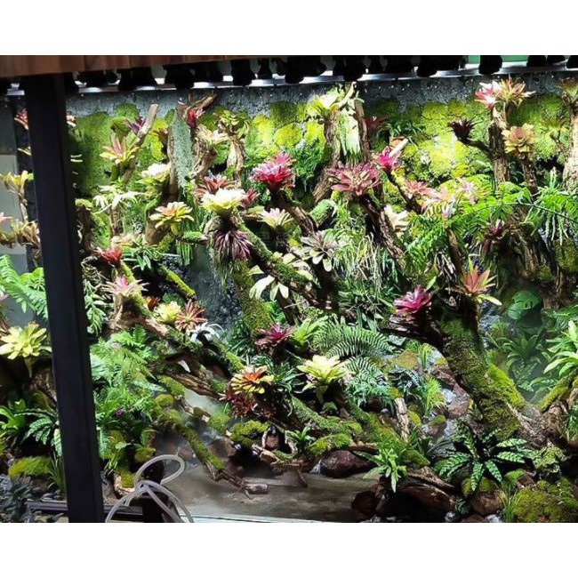 Đèn thủy sinh, bán cạn ánh sáng trắng 5000- 6500 Kelvin