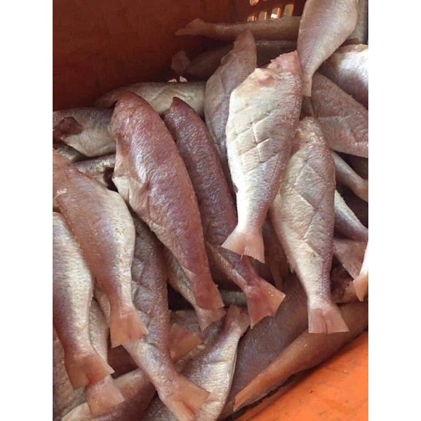 cá hồng phèn một nắng tươi ngon 500grDTFoods(CHUYÊN SỈ)