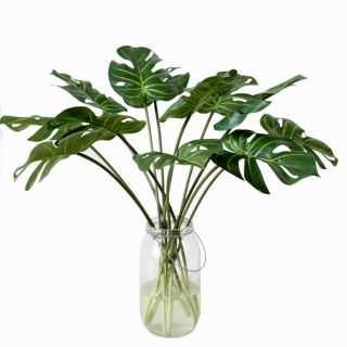 Cành lá sẻ