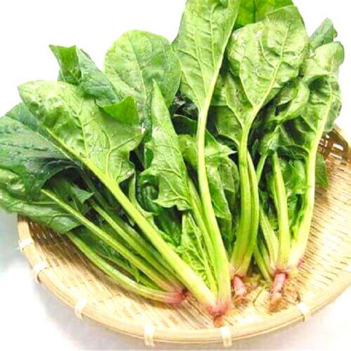 Hạt giống cải bó xôi- giống Công ty Tuyển chọn cho năng suất cao sinh trưởng khỏe NGUYÊN GÓI