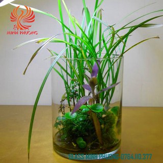 Bình bông thủy tinh trang trí D10x20, Bình cắm hoa thủy tinh trụ, lọ hoa hình trụ, trụ đổ đèn cầy, ống trụ tròn