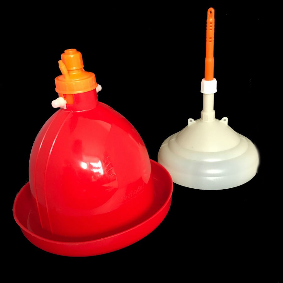 Máng nước tự động cho gà hàng Thái Lan