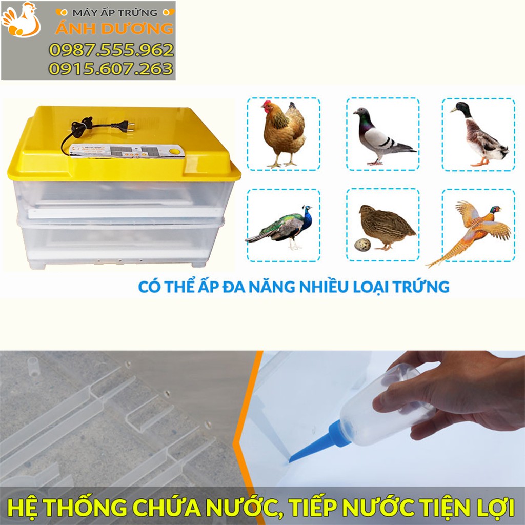 [ Hàng Chính Hãng ] - Máy ấp trứng mini Ánh Dương A100, 2 tầng khay đảo nhôm, ấp tự động 100 trứng