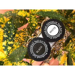 Gel nhện trắng,đen vinimay