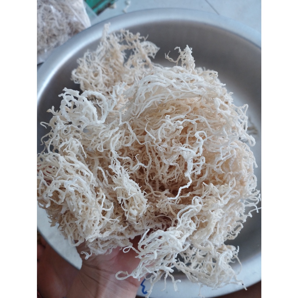RONG SỤN GAI - Rong khô hoàn toàn Tự Nhiên 100% - Chuyên dùng nấu chè hoặc nước uống - LÝ SƠN MART