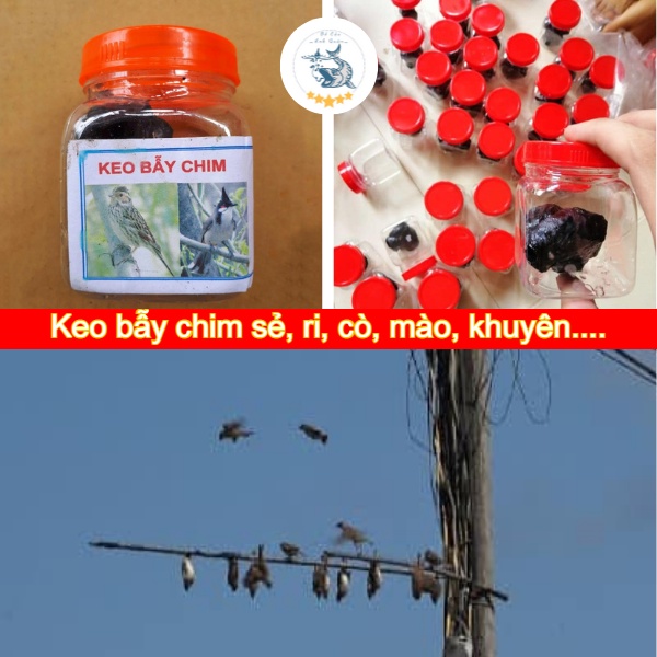 [Lưới Bẫy Chim] Keo Bẫy Chim Siêu Dính chuyên Các loại chào mào, ri, cu gáy, khuyên...